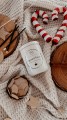 świeczka dw home peppermint s'mores mała.JPG